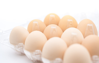 eggs on white background