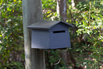 mailbox on the background of the house