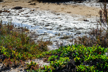 Pink salt lake near the town of Torrevieja. Alicante province. Spain