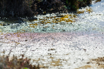 Pink salt lake near the town of Torrevieja. Alicante province. Spain