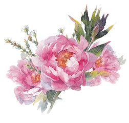 watercolor pink bouquet peonies carved on a white background. Romantic buds with delicate petals and leaves for the girl beloved. female clearance greetings. wedding invitations. 