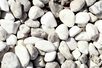 Weisse Kieselsteinchen als Bodenbelag, Hintergrundbild