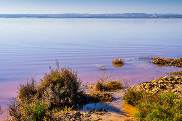 Pink salt lake near the town of Torrevieja. Alicante province. Spain