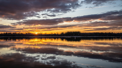 Sunrise at Blue Marsh Lake in winter with herring gulls and terns flying near the surface