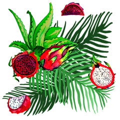 pattern tropical plants petahaya leopard