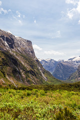 Fototapeta na wymiar Green valley and sheer cliffs on the way to Fiordland. South Island, New Zealand