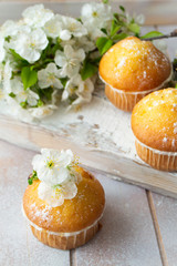 Mini muffins decorated with cherriy flowersc close up.