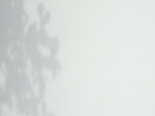 shadow of leaves on white concrete wall