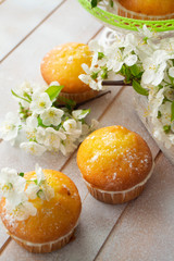 Golden muffins with cherriy flowers on shabby table