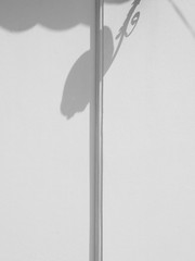 shadow on white concrete wall