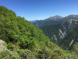 Fototapeta na wymiar Japan Southern Alps Mount Shiomi 日本　南アルプス　塩見岳