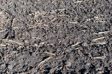 Soil with mineral fertilizer