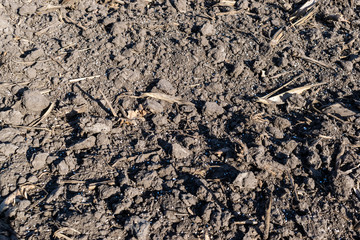 Soil with mineral fertilizer