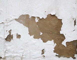 old white wall with peeling paint - rough dirty texture for a background surface