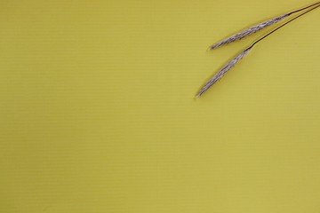 한국 경기도 시흥시 시흥생태공원 입니다