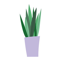 potted plant decoration interior gardening isolated icon design