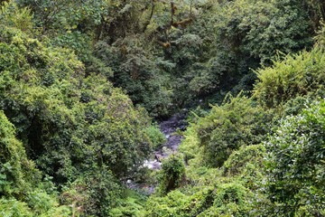Fresh water river in the Aberdare Ranges, Kenya