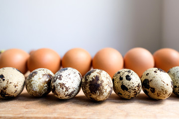 quail and chicken eggs on the table lie in a row