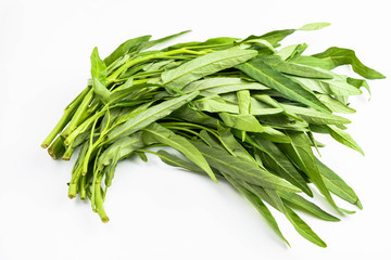 夏野菜　空芯菜