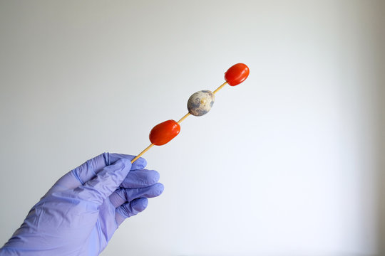 hand in signet holds products on a stick. egg and tomato skewer