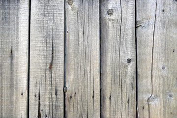 The surface of old dry wooden boards clogged with nails and partially covered with fungus.