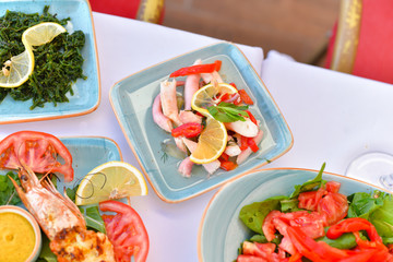 appetizers with yogurt, tomatoes, cheese, lemon, greens, mussels, olives, snacks on white background, ready for service, should be used as background.