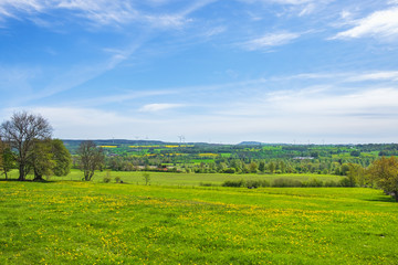 Fototapeta na wymiar Beautiful landscape view at the countryside from a blooming meadow