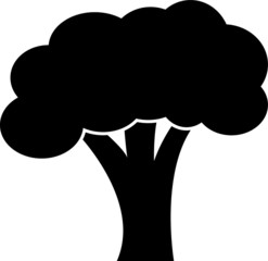 Broccoli vegetable vector icon