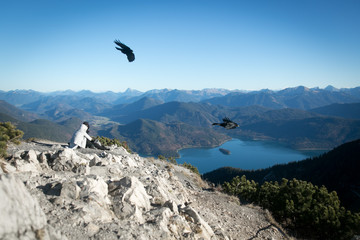 A couple sits hugging on top of a mountain and looks at a mountain lake below