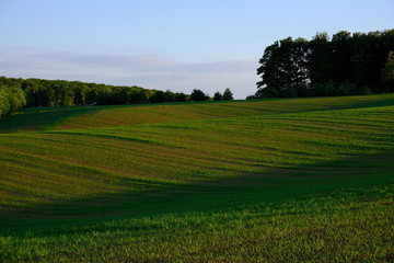 Landschaft abends 