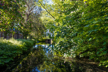 Landscape of beautiful water reflections on greenery forest with brick houses and flowers and a blue sky in the spring