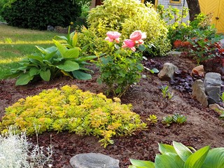 Blooming flower bed in the garden