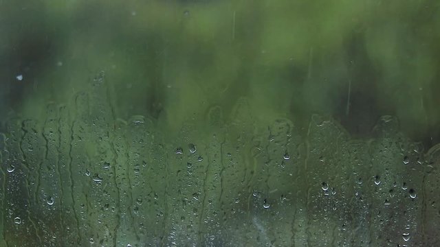 Window close-up with raindrops in the summer.HD