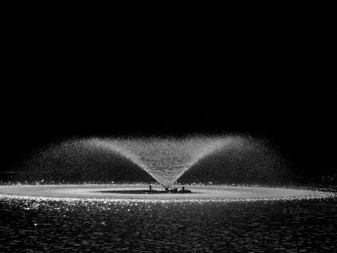 fountain on water in garden black and white style