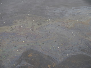 Oil film on surface of the water. Oil film pollution. Colorful oil film on water.