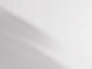 shadow of palm leaf on white wall