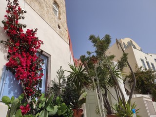 Fototapeta premium typical mediterranean house