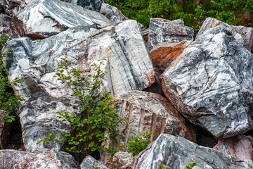Large marble rough stones with plant is close