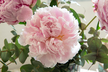 A Bouquet of season fresh peonies
