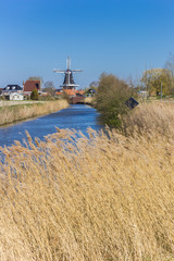 Reed at the river leading to Mensingeweer in Groningen, Netherlands