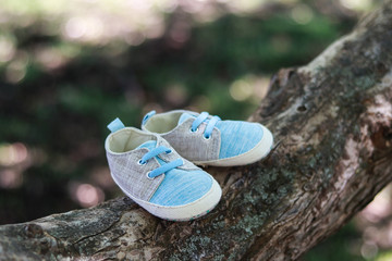 baby shoes in the park