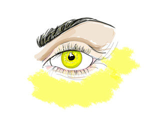 Yellow fashion eye sketch. Digital Art