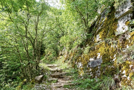 Griechenland - Vikos-Aoos Nationalpark - Vikos Schlucht - Wanderweg