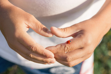 A ladybug sat on the boy's arm.