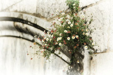 Views of the city of Bilbao