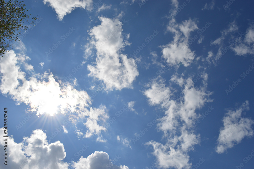 Wall mural natural background blue sky with white clouds in clear weather on a summer day