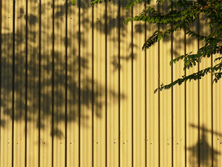 branch tree with shadow of leaf on yellow metal sheet of fence