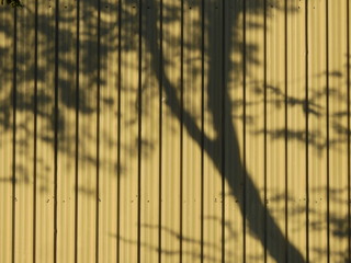 shadow of tree on yellow metal sheet of fence