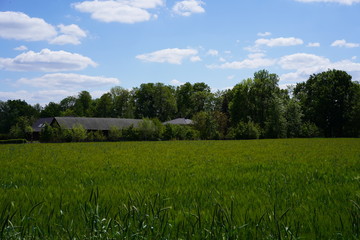L&auml;ndlicher Spreewald