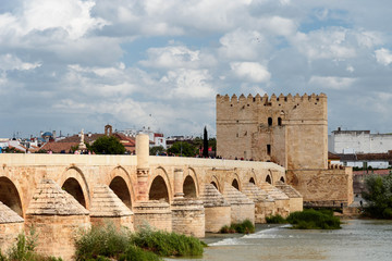 Obraz premium a guadalquivir view of cordoba. view of the roman bridge and the calahorra tower over the guadalquivir in cordoba. andalusia, spain